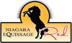 Niagara Equissage Red
