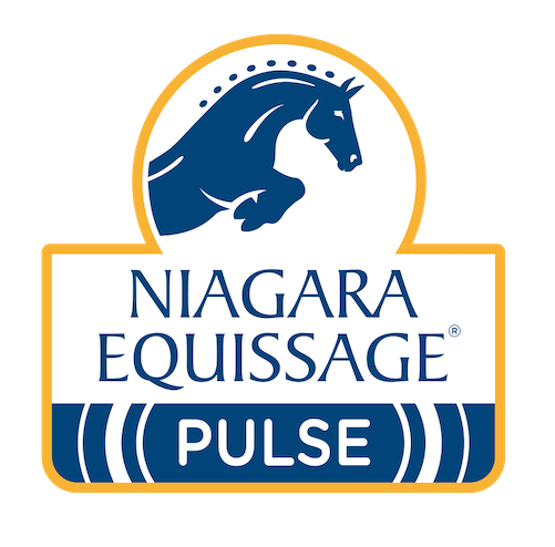 Niagara Equissage Pulse