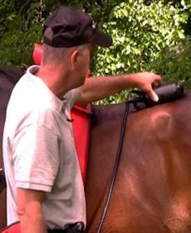 Niagara Equissage Hand Unit demonstrated by Paul Magee