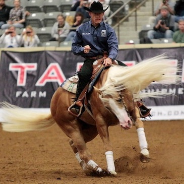 Lyle Lovett's horse Smart & Shiney gets Niagara Equissage treatments